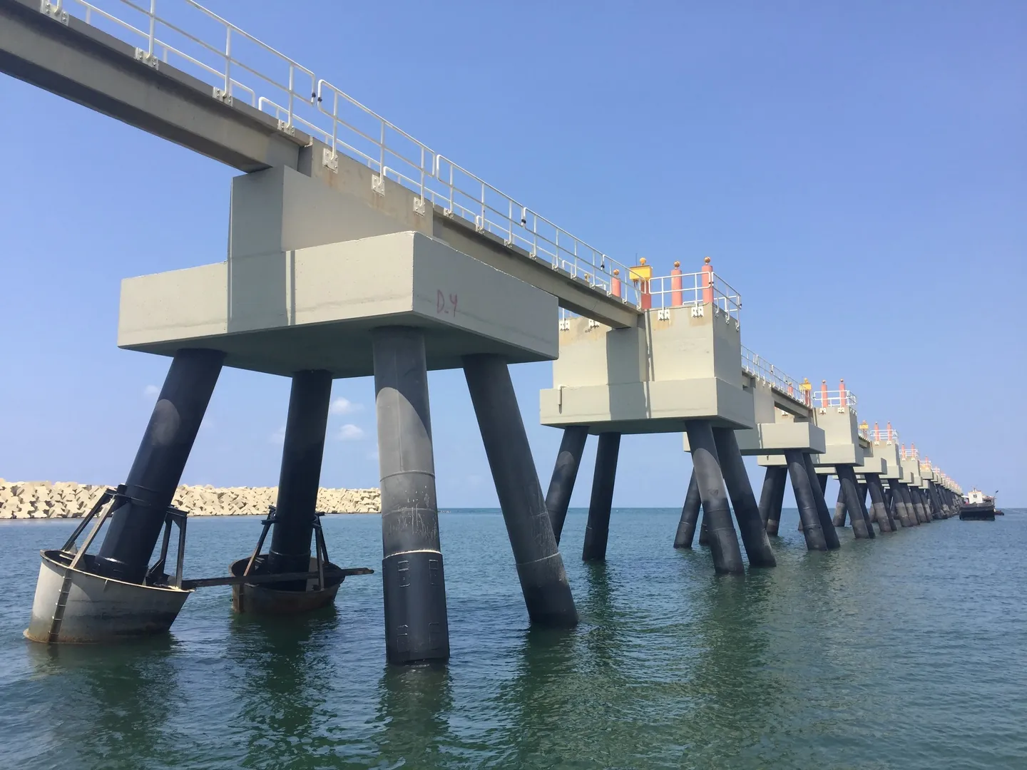 BIA West Runway Dolphins